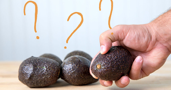 AvocaDOs and Don'ts
